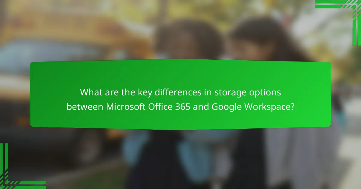 What are the key differences in storage options between Microsoft Office 365 and Google Workspace?